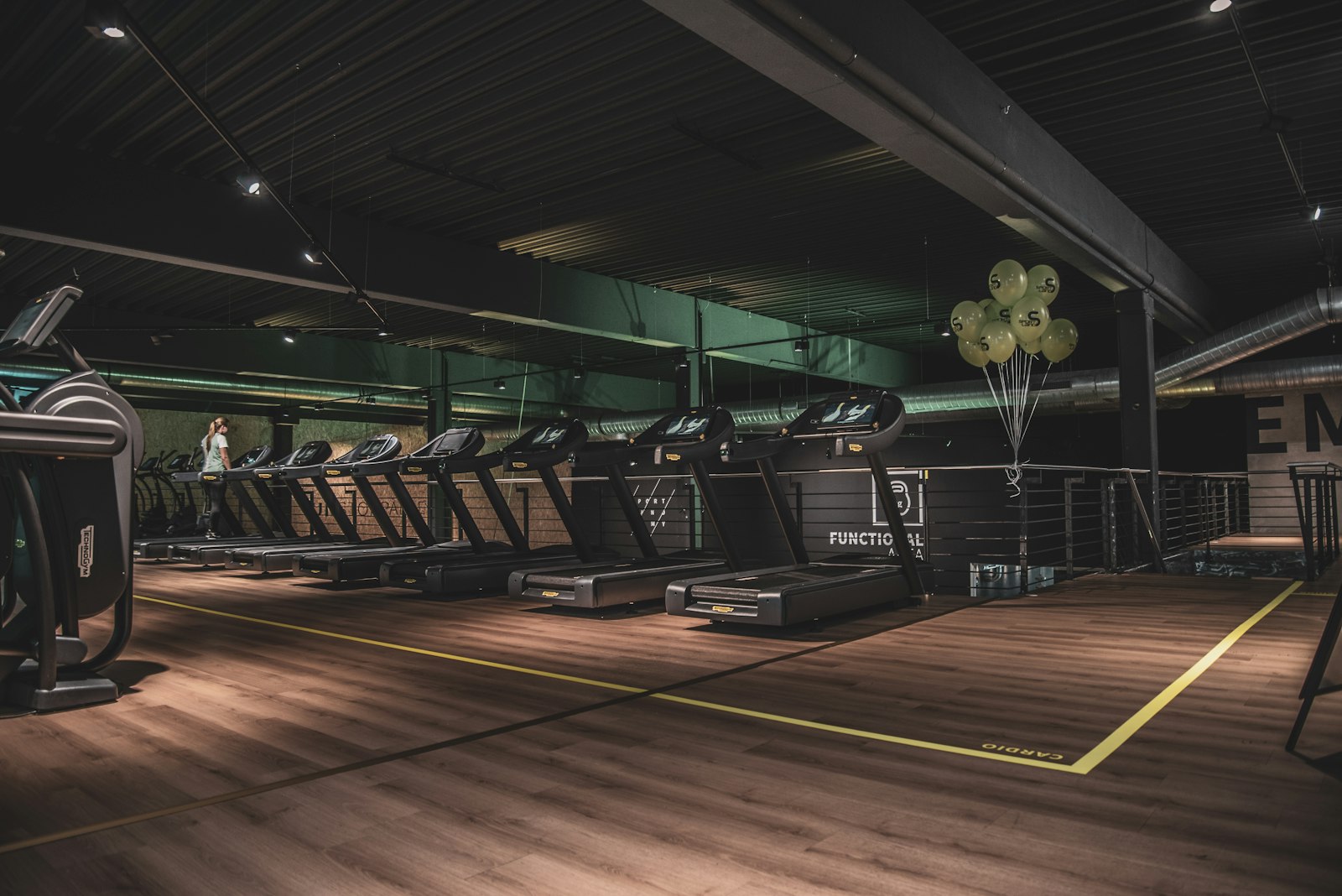 Dumbbells arranged on a gym rack